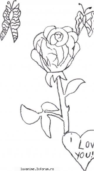 draws trandafir