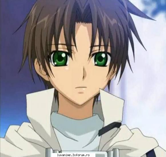 adevarul despre konoha kouta