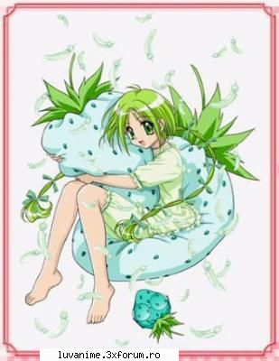 Bridget Verdant - ♥♥♥Nana ♥ chan♥♥♥ - Mew Mew Power