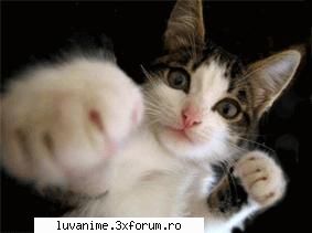Funny Miscatoare - comentezi?? :x :x :x las ca matza mea te - Miscatoare