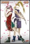 ino yamanaka fetele