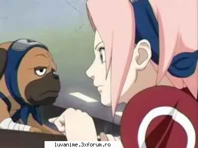 Sakura - saku - Naruto