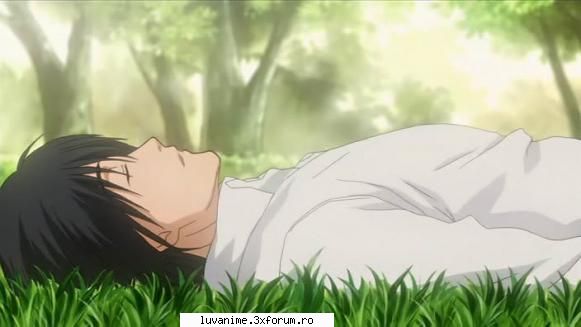 Shinobu - Shaya - Honey & Clover