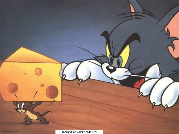 Tom and Jerry - sa nu radeti!!!:D:D:D:D:D:D da imi plac - Tom & Jerry