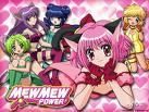 galerie - anamaria.cupes - Mew Mew Power